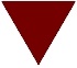 Wraith Brown Triangle Logo.jpg