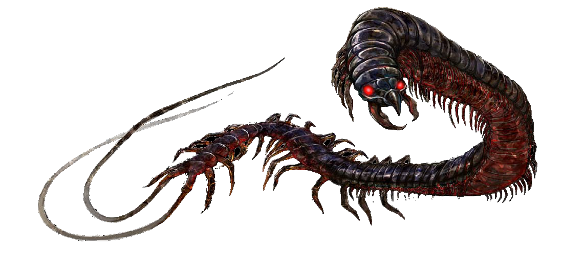 Rambert nightmare-centipede.png