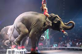 Cirque de Ianua.jpg