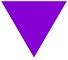Wraith Purple Triangle Logo.jpg