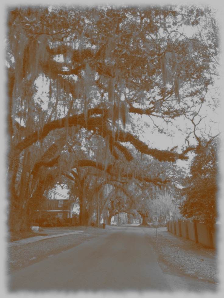 Covington road 1920.jpg