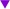 Wraith Purple Triangle Logo.jpg