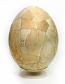 Arkwight Egg.png