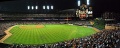 Detroit comerica park night.jpg