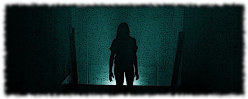 File:Spectre Bulus Barakat.jpg